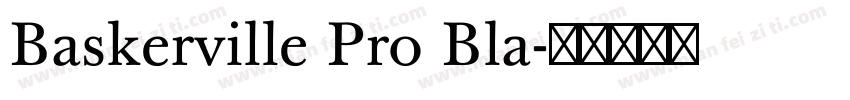 Baskerville Pro Bla字体转换